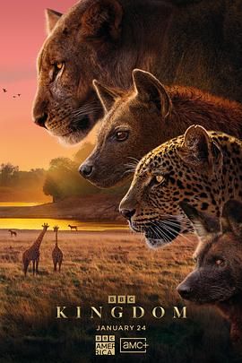 动物王国(普通话版)